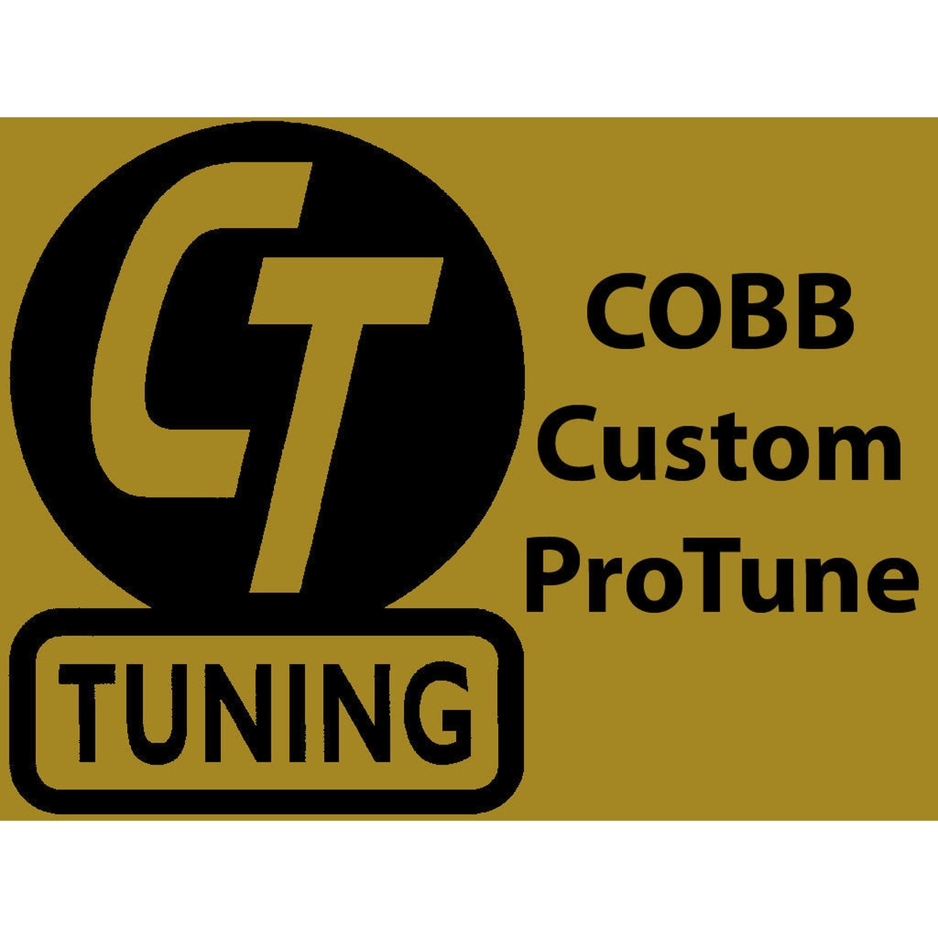 CT Tuning Flex Fuel Protune WRX